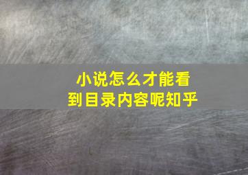 小说怎么才能看到目录内容呢知乎