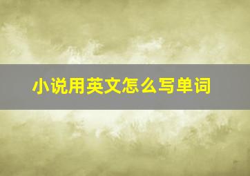 小说用英文怎么写单词