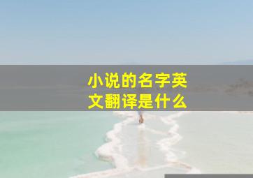 小说的名字英文翻译是什么