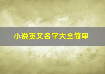 小说英文名字大全简单