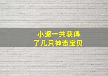 小遥一共获得了几只神奇宝贝