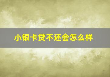 小银卡贷不还会怎么样