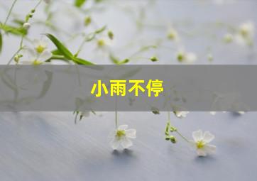 小雨不停