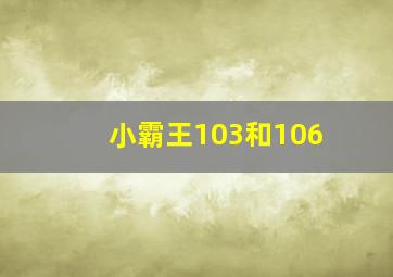 小霸王103和106