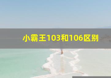 小霸王103和106区别