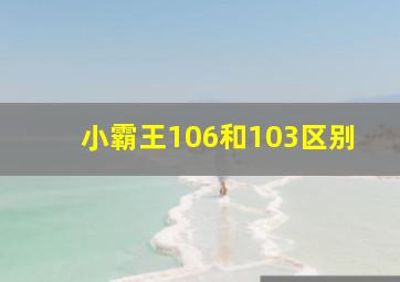 小霸王106和103区别