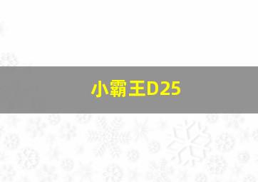 小霸王D25