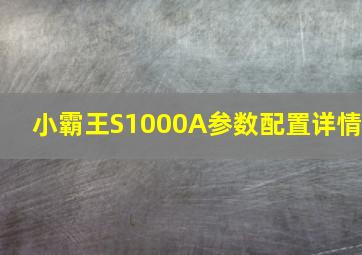 小霸王S1000A参数配置详情