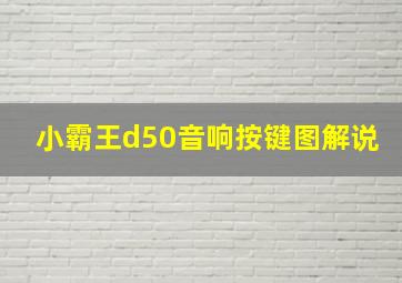 小霸王d50音响按键图解说