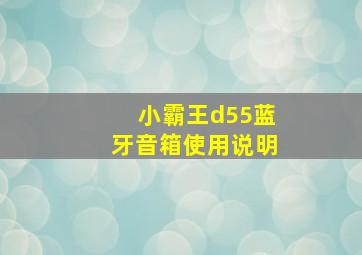 小霸王d55蓝牙音箱使用说明