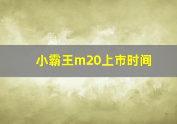 小霸王m20上市时间