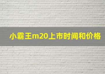 小霸王m20上市时间和价格