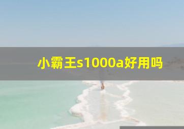 小霸王s1000a好用吗