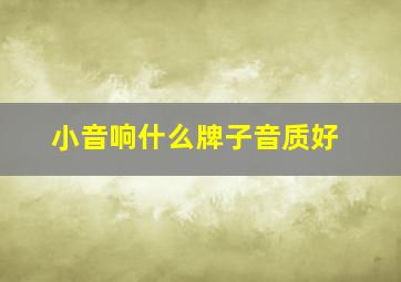 小音响什么牌子音质好