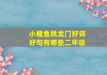 小鲤鱼跳龙门好词好句有哪些二年级