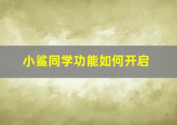 小鲨同学功能如何开启