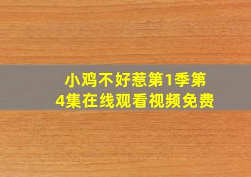 小鸡不好惹第1季第4集在线观看视频免费