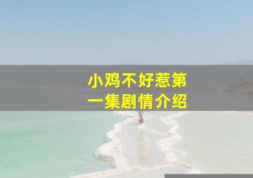 小鸡不好惹第一集剧情介绍