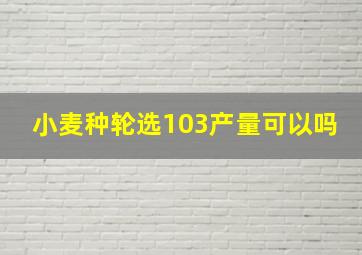 小麦种轮选103产量可以吗