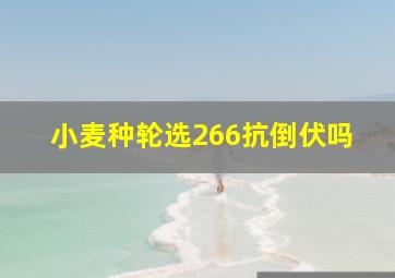 小麦种轮选266抗倒伏吗