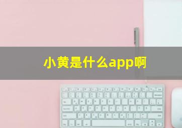 小黄是什么app啊