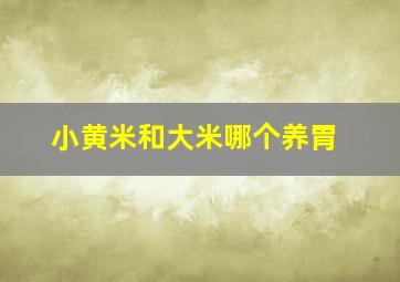 小黄米和大米哪个养胃