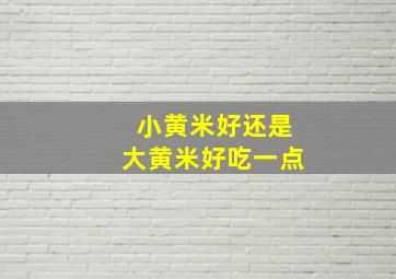 小黄米好还是大黄米好吃一点