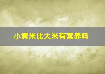 小黄米比大米有营养吗