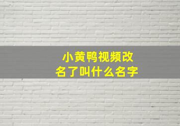 小黄鸭视频改名了叫什么名字