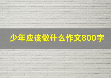 少年应该做什么作文800字