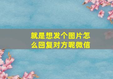 就是想发个图片怎么回复对方呢微信