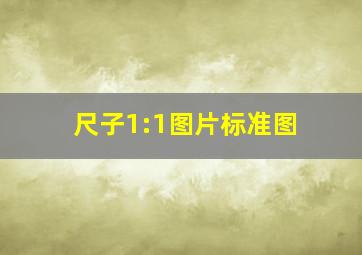 尺子1:1图片标准图