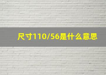 尺寸110/56是什么意思