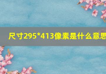 尺寸295*413像素是什么意思