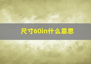 尺寸60in什么意思