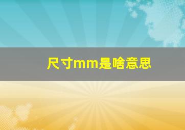 尺寸mm是啥意思