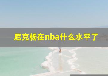 尼克杨在nba什么水平了