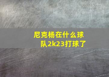 尼克杨在什么球队2k23打球了