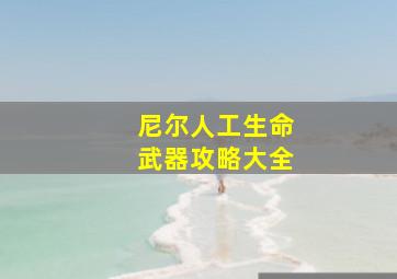 尼尔人工生命武器攻略大全