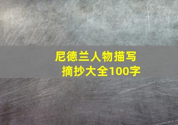 尼德兰人物描写摘抄大全100字