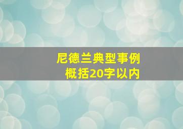 尼德兰典型事例概括20字以内