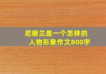 尼德兰是一个怎样的人物形象作文800字