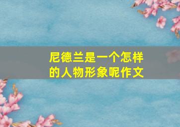 尼德兰是一个怎样的人物形象呢作文