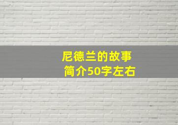 尼德兰的故事简介50字左右