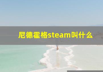 尼德霍格steam叫什么