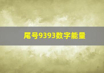 尾号9393数字能量