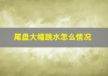 尾盘大幅跳水怎么情况