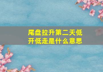 尾盘拉升第二天低开低走是什么意思