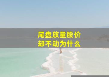 尾盘放量股价却不动为什么