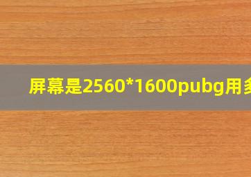 屏幕是2560*1600pubg用多少